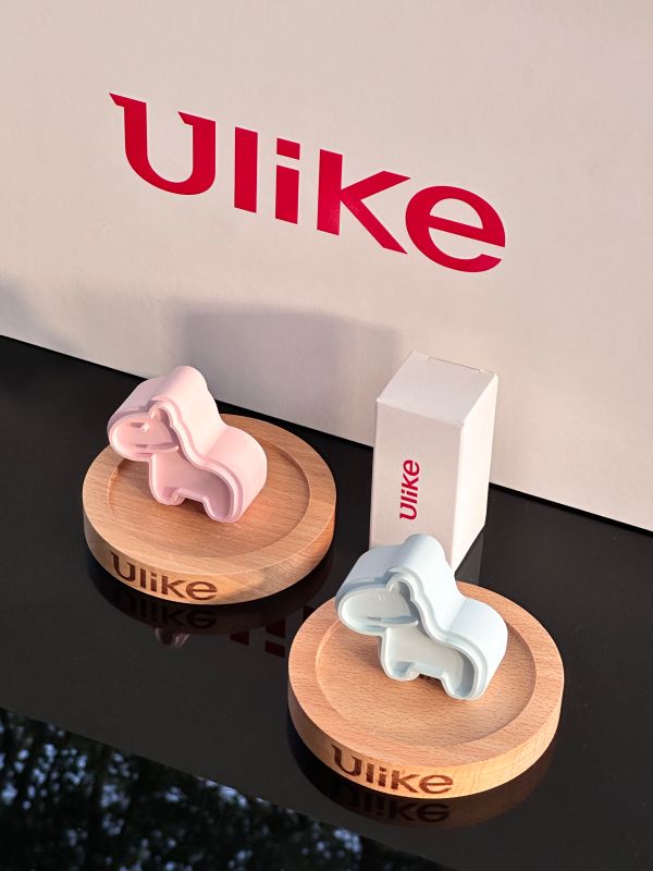 Little Horse Plaster Aromatherapy Gift Box | Best Corporate Gift Supplier Malaysia Singapore 2026