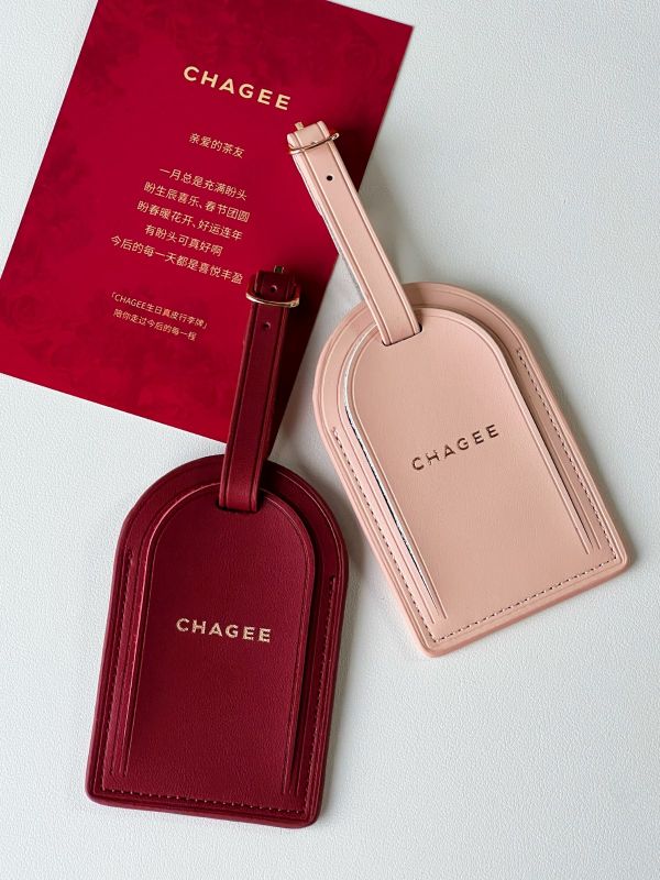 Custom Logo Luggage Tag Gift Fast Delivery & Bulk Order