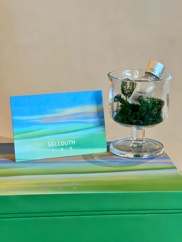 Custom Logo Moss Diffuser &ndash; Engraved Cup, Branded Box, Custom Scent