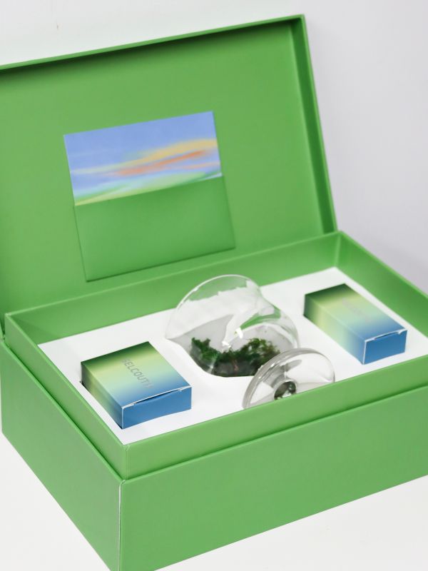 Fragrant Oasis Gift Set &ndash; Moss Green, Rainbow Gradient, Squishy Stress Reliever