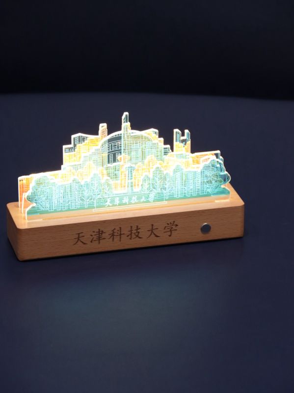 Custom Logo Acrylic Night Light Ornament