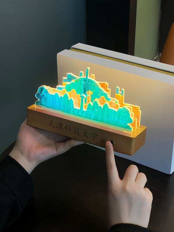 Custom Acrylic Night Light with Wooden Base & Dimmable Glow Bulk Order