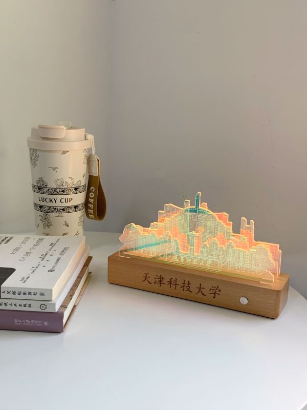 Custom Acrylic Night Light