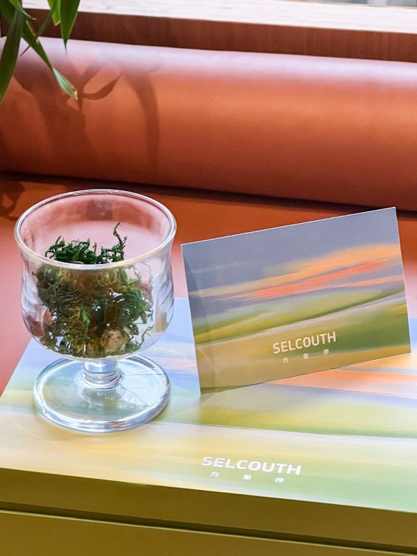 Eco-Friendly Moss Aromatherapy Set