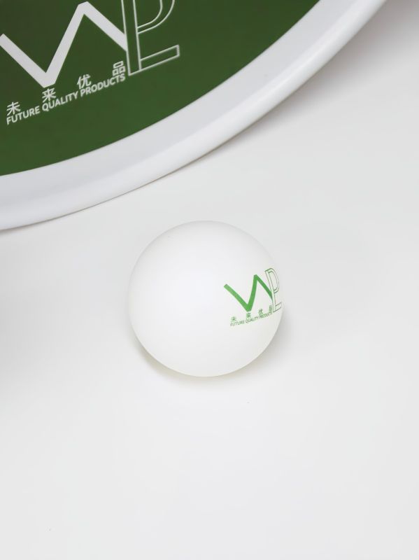 Table Tennis Family Recreation Gift