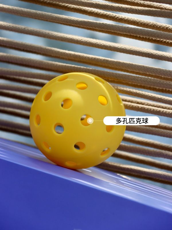 Annual Dinner Souvenir Singapore | Pickleball Corporate Gift Case Study for Malaysia Thailand