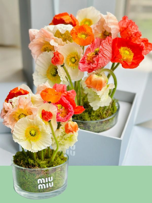 Miu Miu Flower Pot Gentle Gift