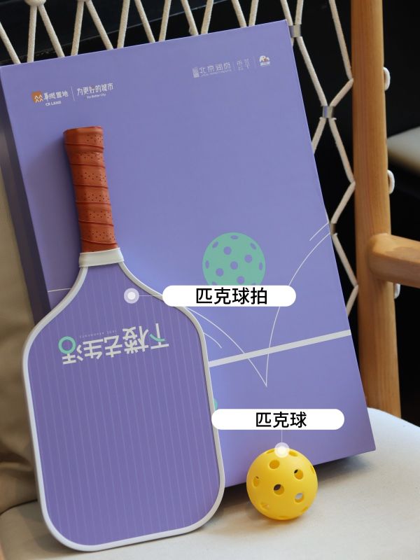 Reorder Pickleball Gift Set