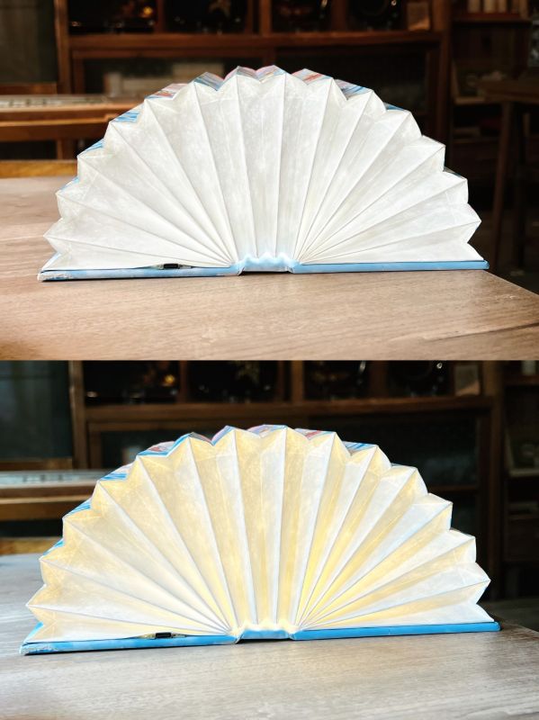  How Fan-Shaped Book Light Strengthened Cultural Image in Singapore