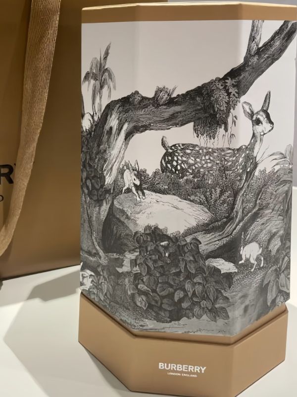 Success Case Burberry Style Lantern Gift Box - How Businesses in Singapore Malaysia Thailand Used It for Mid-Autumn Gifting
