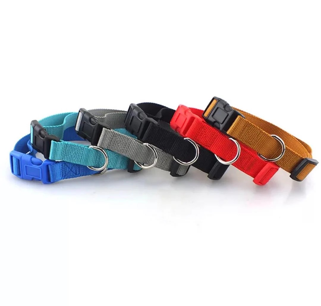  Custom Dog Leash Supplier Delivers 500pcs for Singapore Corporate Event