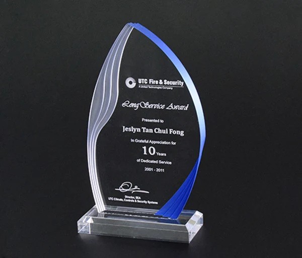Sustainable Acrylic TrophyLong Title