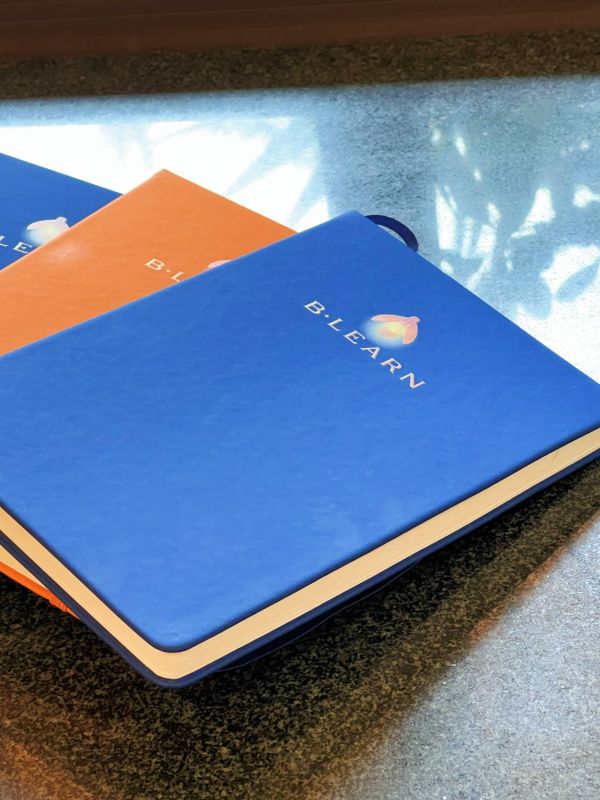 Luxury Executive Notebook Set