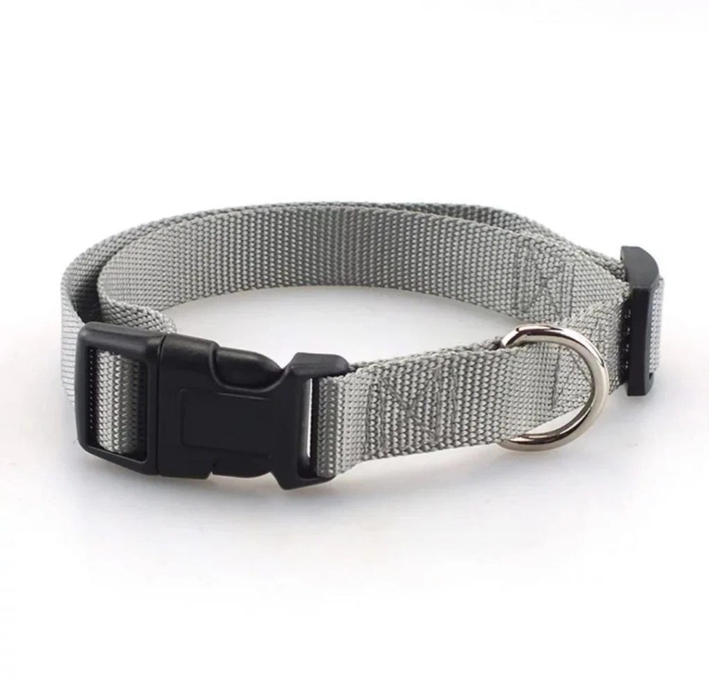 Sustainable Dog Leash
